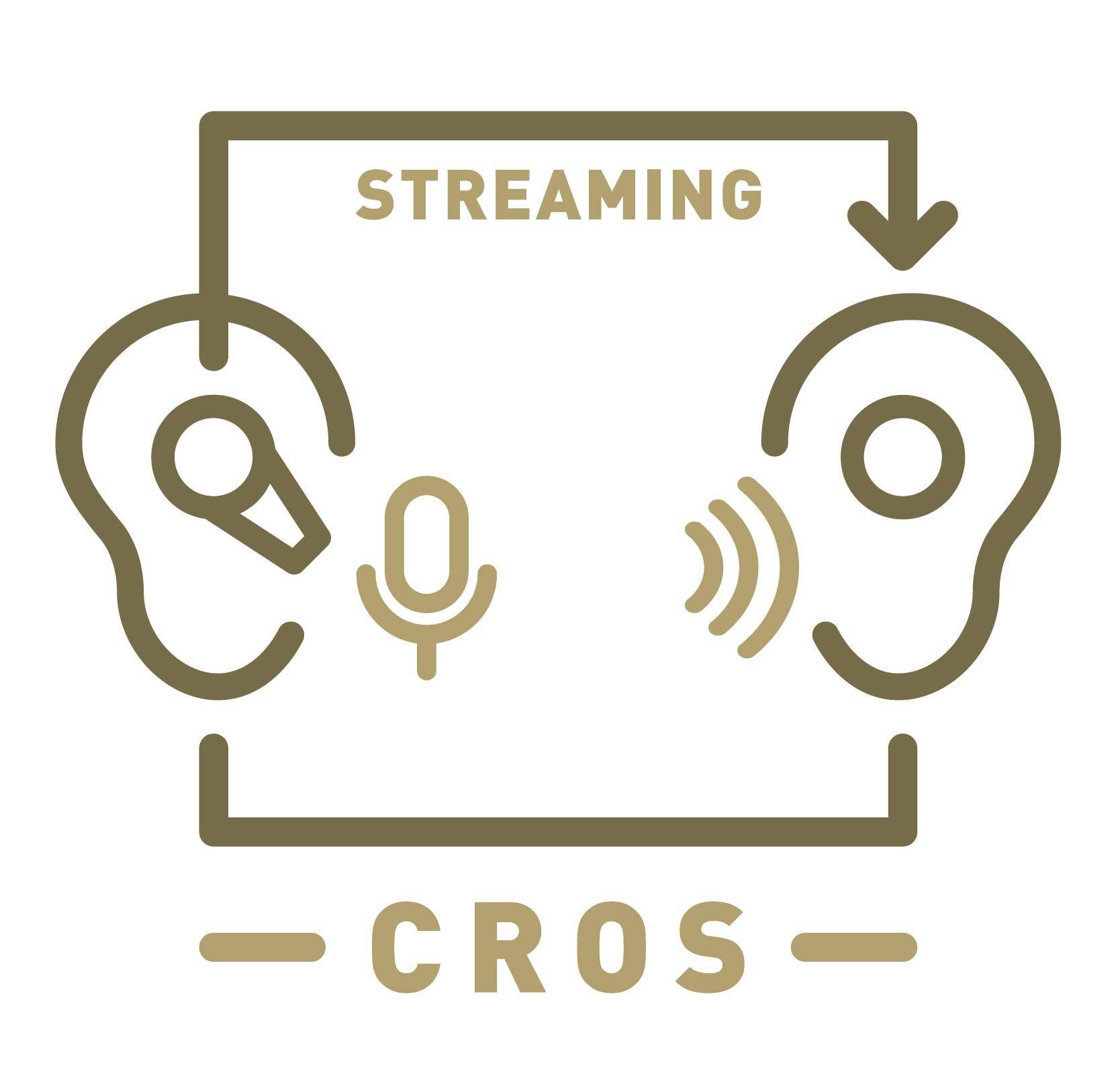 Das Prinzip von CROS- und BiCROS-Hörsystemen